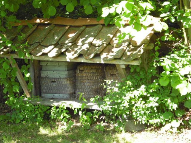 Landhaus Kiesow Suderburg Eksteriør billede